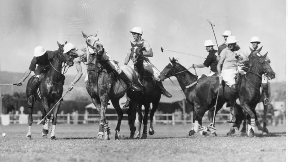 Hinh anh 4: Lacoste vs. Ralph Lauren: Mau ao Polo co dien nao len ngoi?