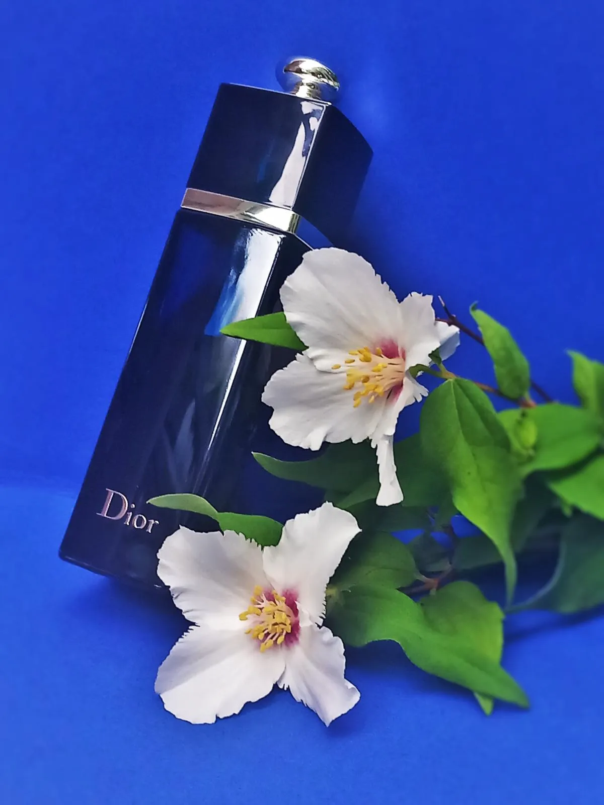 Top 9 chai nước hoa quyết rũ nhất dành cho các cô gái của Dior Hinh anh 6: Top 9 chai nuoc hoa quyet ru nhat danh cho cac co gai cua Dior