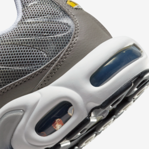 Giay Nike Air Max Plus 'Flat Pewter' DV7665-002