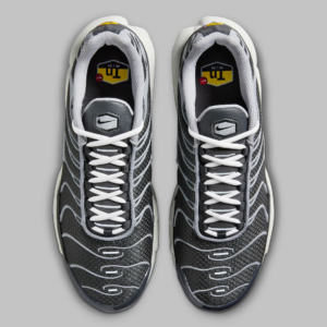 Giay Nike Air Max Plus 'Greyscale Cool Grey' DZ2655-001