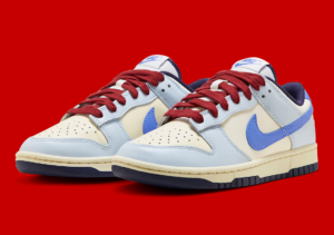 Giay Nike Dunk Low 'From Nike To You' FV8113-141