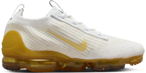 Giay Nike Air Vapormax 2021 Flyknit SE ''Frank Rudy' DQ8963-100