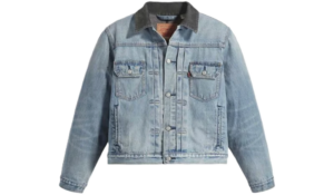 Ao Stussy x Levis SS23 Logo Floating 'Blue' STLV230221-001