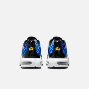 Giay Nike Air Max Plus 'Light Photography' DZ3531-400