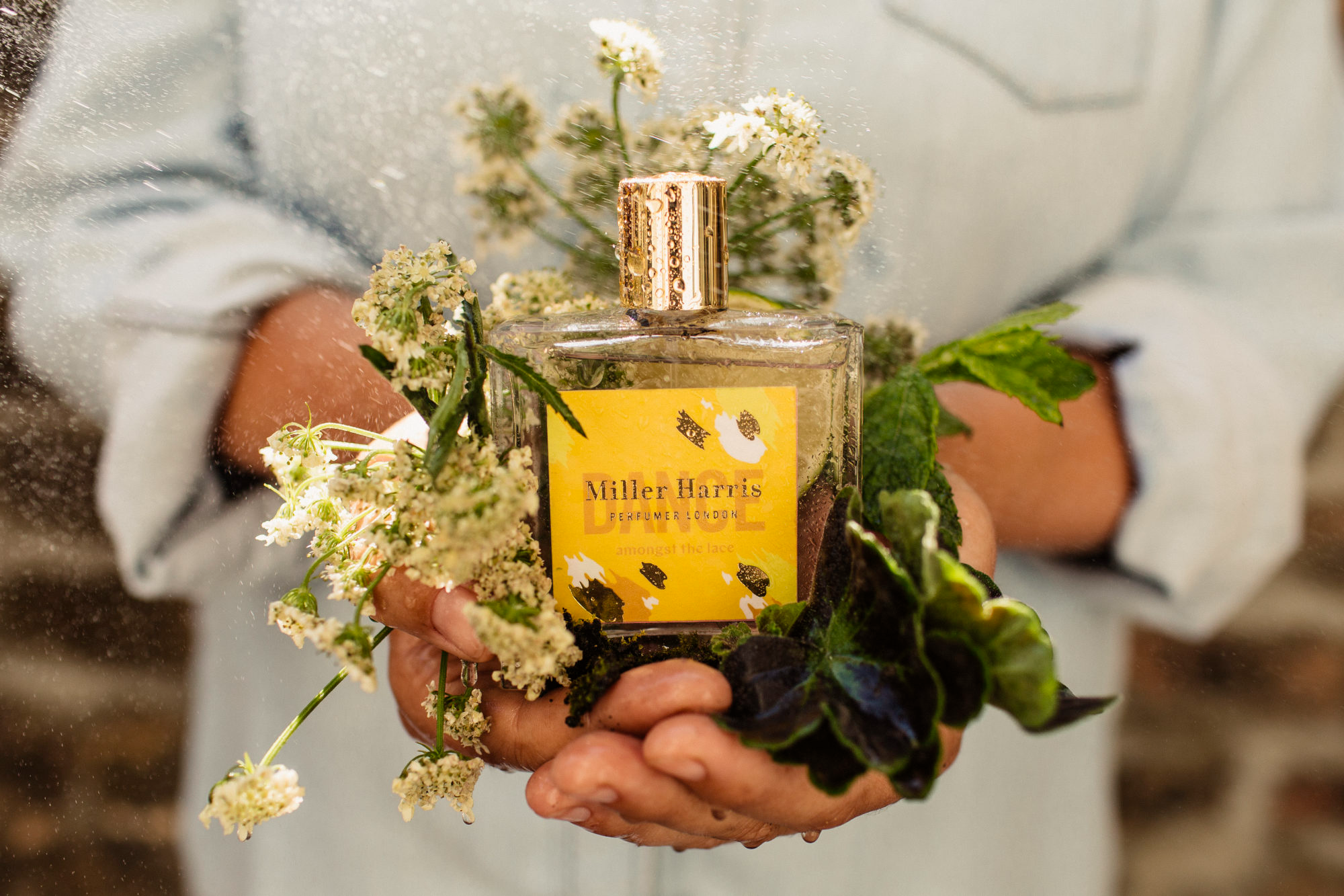 Miller Harris - Một thương hiệu nước hoa độc đáo tại London Hinh anh 3: Miller Harris - Mot thuong hieu nuoc hoa doc dao tai London
