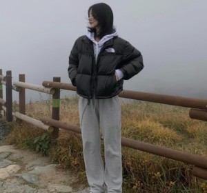 Ao The North Face Nuptse 'Black' NJ1DM60A