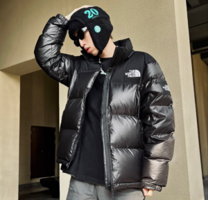 Ao The North Face Nuptse 'Black' NJ1DM60A
