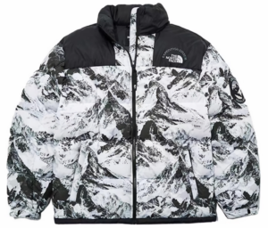 Áo The North Face FW22 ‘White Black’ NJ1DN57A