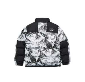 Ao The North Face FW22 ‘White Black’ NJ1DN57A