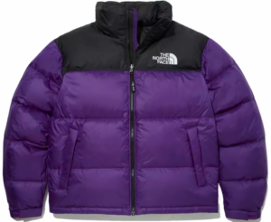 Ao The North Face 1996 Eco Nuptse ‘Purple’ NJ1DN55D