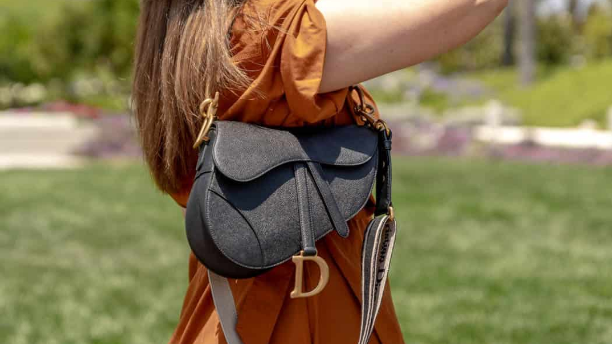 5 chiếc túi thiết kế xa xỉ đáng đầu tư nhất trong năm 2023 Hinh anh 4: 5 chiec tui thiet ke xa xi dang dau tu nhat trong nam 2023