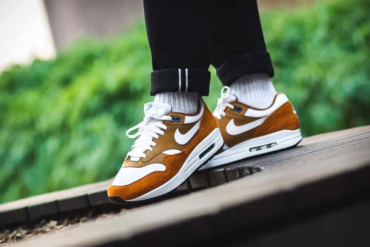 Top 5 đôi Air Max 1 bạn nên sở hữu ngay hôm nay Hinh anh 3: Top 5 doi Air Max 1 ban nen so huu ngay hom nay