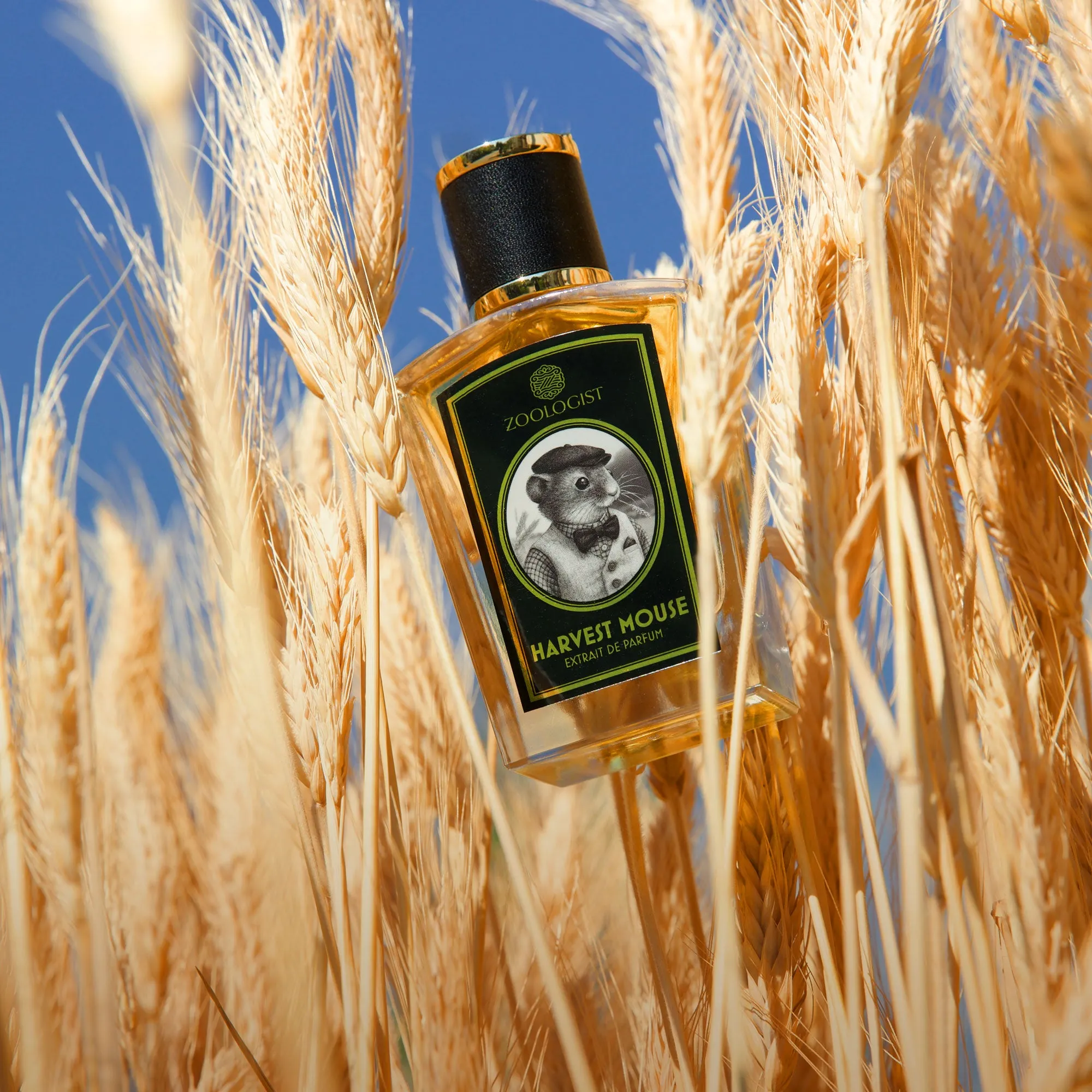 Hinh anh 7: Zoologist: Nuoc hoa niche voi nghe thuat doc dao va sang tao