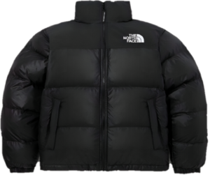 Áo The North Face 'Nuptse On Ball' NJ3NP55A