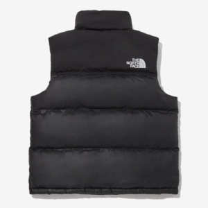 Ao The North Face 'Nuptse On Ball' NV3NP55D