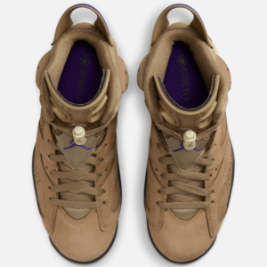 Giay Nike Air Jordan 6 Retro Gore Tex 'Brown Kelp' FD1643-300