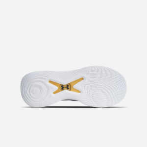 Giay Under Armour Curry 10 'Father To Son' 3026274-101