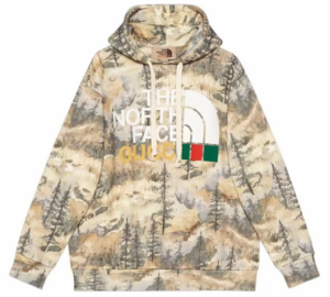 Ao Gucci x The North Face Hoodie 'Forest' 672474-XJDS9-3229
