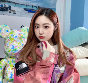 Ao Supreme x The North Face Cargo Jacket 'Pink' SUP-SS20-648