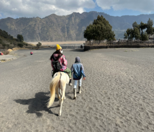 Ao Supreme x The North Face Cargo Jacket 'Pink' SUP-SS20-648