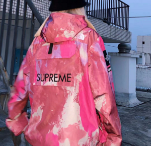 Ao Supreme x The North Face Cargo Jacket 'Pink' SUP-SS20-648