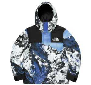 Ao Supreme x The North Face FW17 'Mountain Parka' SUP-SS18-600