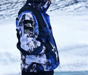 Ao Supreme x The North Face FW17 'Mountain Parka' SUP-SS18-600