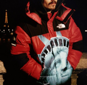 Ao Supreme x The North Face FW19 'Red' SUP-FW19-909