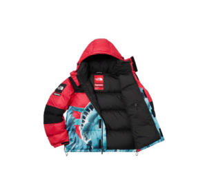 Ao Supreme x The North Face FW19 'Red' SUP-FW19-909