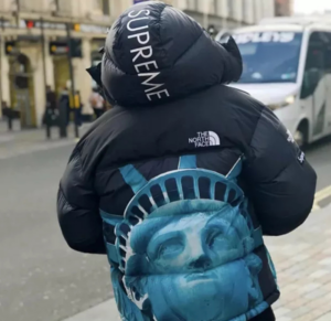 Ao Supreme x The North Face Week 10 'Liberty Baltoro' SUP-FW19-908