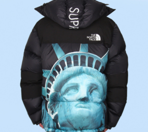 Ao Supreme x The North Face Week 10 'Liberty Baltoro' SUP-FW19-908