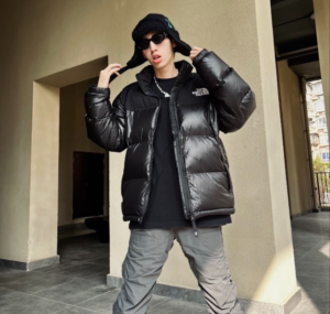 Ao The North Face 1996 Eco Nuptse Jacket 'Black' NJ1DP75C