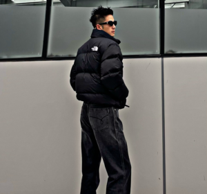 Ao The North Face 1996 Eco Nuptse Jacket 'Black' NJ1DP75C