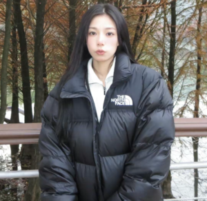 Ao The North Face 1996 Eco Nuptse ‘Black’ NJ1DN55A