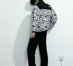 Ao The North Face Down Jackets 'Dark Beige' NJ1DN51P