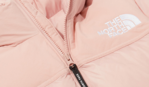 Ao The North Face FW23 'Pink' NJ3NP85C