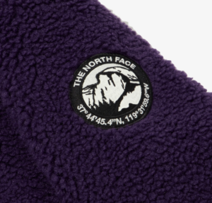 Ao The North Face Label Limo Fleece Jacket 'Purple' NJ4FM50N