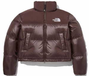 Áo The North Face Label Novelty Nuptse 'Brown' NJ1DP85P