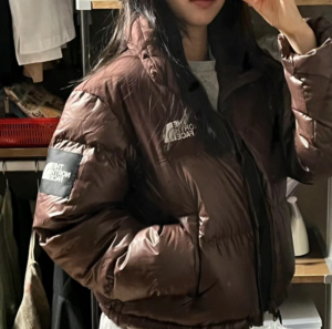 Ao The North Face Label Novelty Nuptse 'Brown' NJ1DP85P