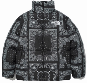 Ao The North Face Novelty Lofty Down Jacket 'Black' NJ1DM76A
