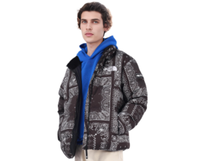 Ao The North Face Novelty Lofty Down Jacket 'Black' NJ1DM76A