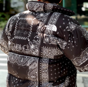 Ao The North Face Novelty Lofty Down Jacket 'Black' NJ1DM76A