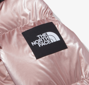 Ao The North Face Novelty Nuptse Down Jacket 'Pink' NJ1DP87L