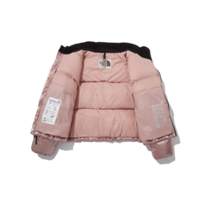 Ao The North Face Novelty Nuptse Down Jacket 'Pink' NJ1DP87L