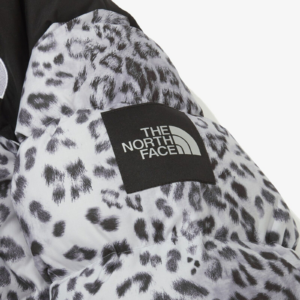 Ao The North Face Novelty Nuptse Down Jacket 'Silver' NJ1DN51L