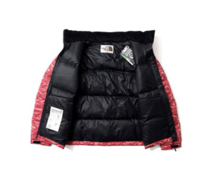 Ao The North Face Novelty Nuptse 'Red' NJ1DM66L