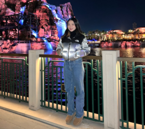 Ao The North Face Nuptse Down Jackets 'Silver' NJ1DP87J