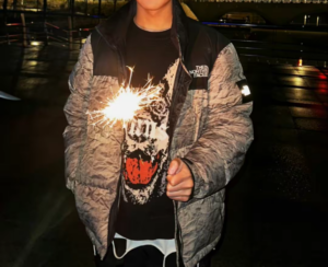 Ao The North Face Nuptse Jacket 'Grey' NJ1DM66J