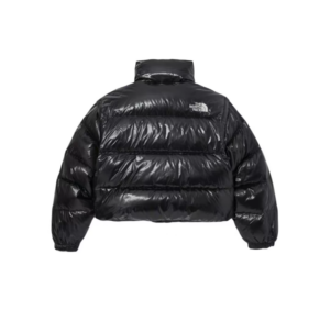 Ao The North Face Street Style Down Jackets 'Black' NJ1DP86J