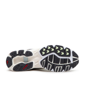 Giay Mizuno Wave Rider 10 'Silver Cloud Sunstruck' D1GA331201